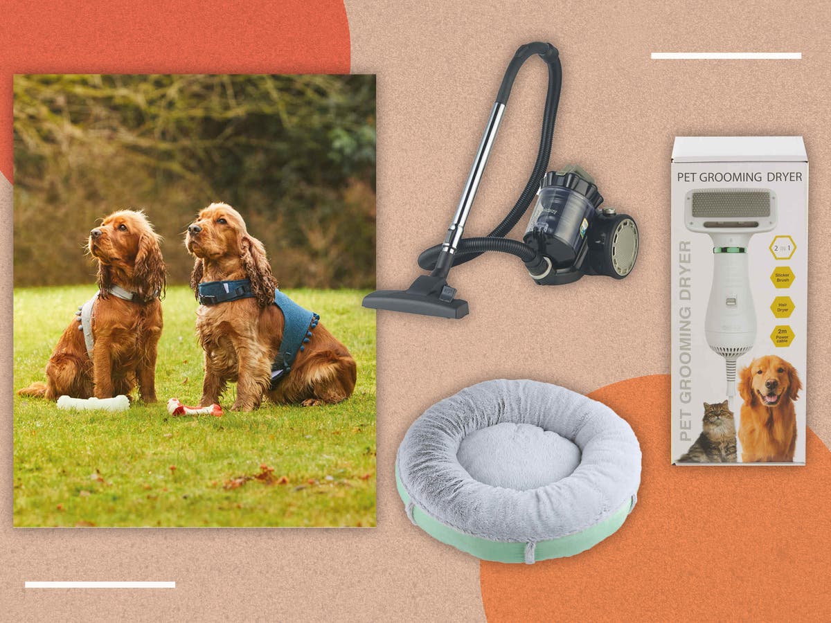 Aldi pet event 2023 on Specialbuys The Independent